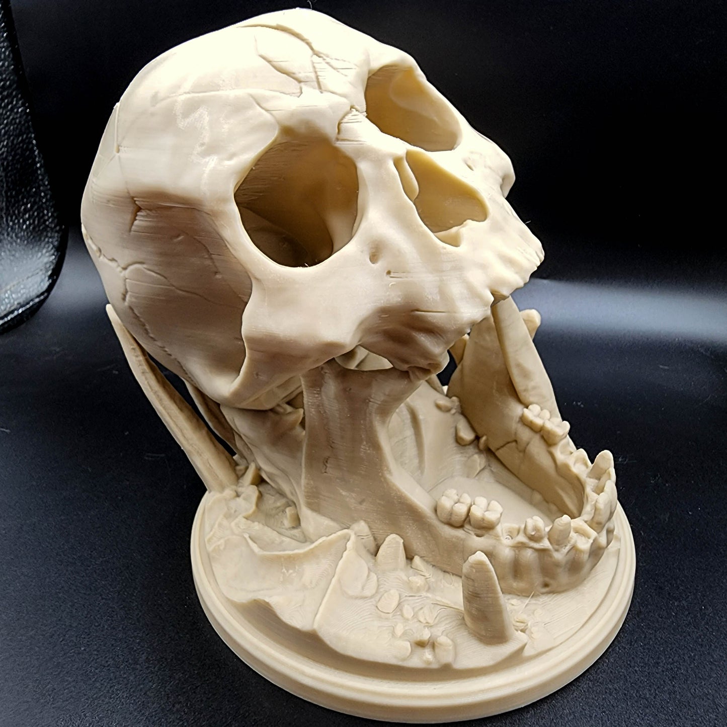 Skull Dice Tower