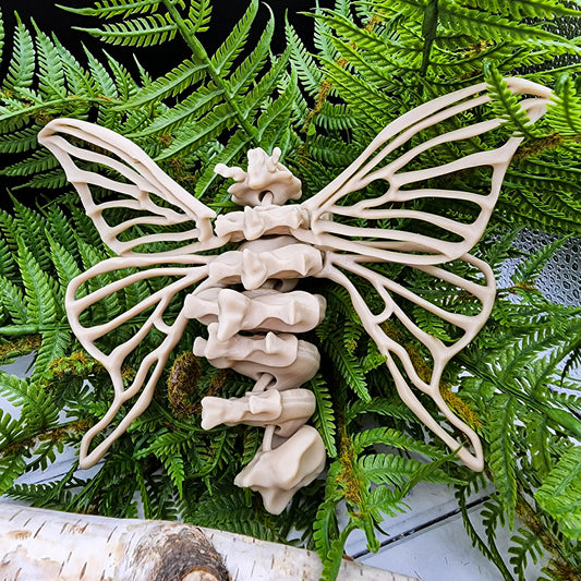 Articulating Bone Moth